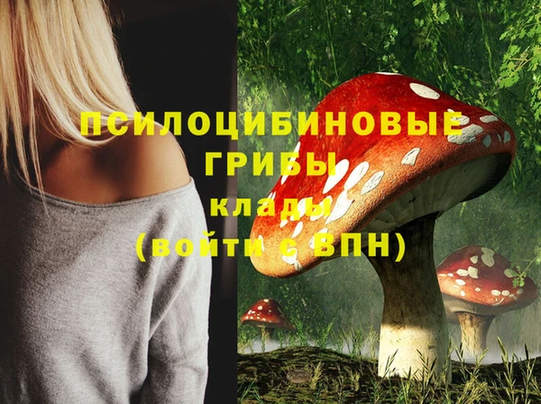 ALPHA PVP Надым