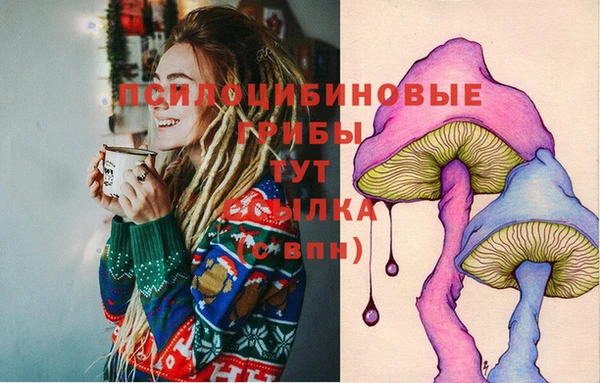 mix Горнозаводск