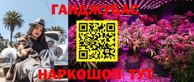 стаф Бузулук