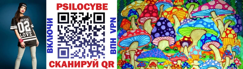 Псилоцибиновые грибы Magic Shrooms где купить наркоту Черногорск
